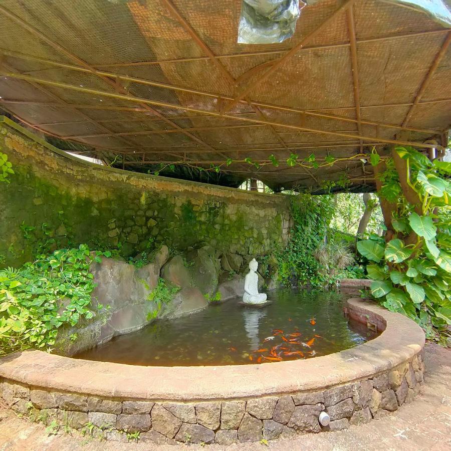 Silverador Resort Thane Exterior photo